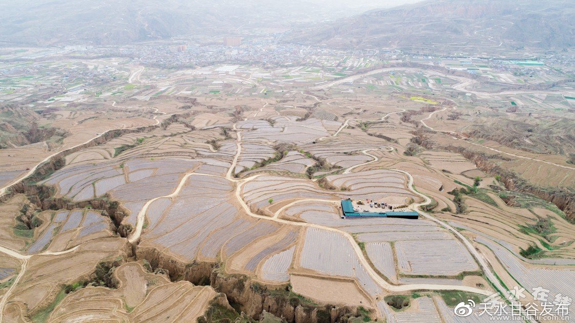 你以为很长胖实际很健康的食物