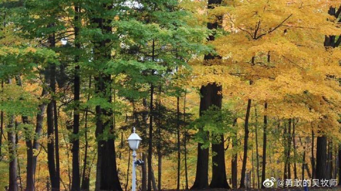 快手协议自助下单平台：兼职交易平台自由创业轻松变现